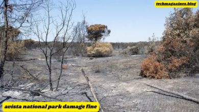 avista national park damage fine