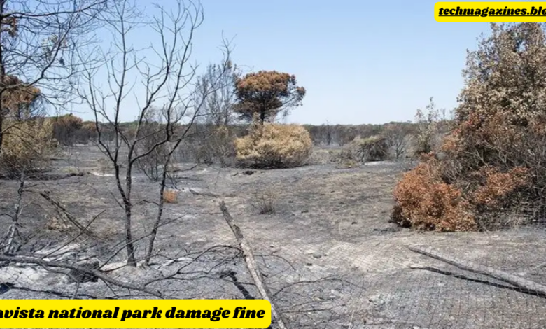 avista national park damage fine