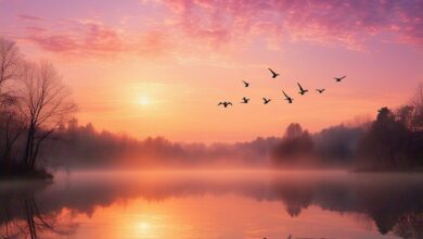 Oh What a Beautiful Morning